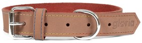 Κολλάρο Σκύλου Gloria Oasis Καφέ (40 x 1,5 cm)