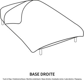 Βαμβακερή παπλωματοθήκη, Yucatan