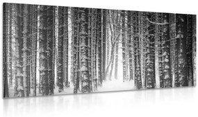 Εικόνα δάσους τυλιγμένο στο χιόνι σε μαύρο και άσπρο - 100x50