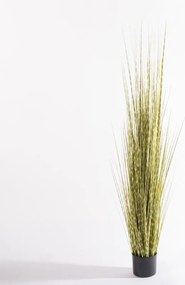 Supergreens Τεχνητό Φυτό Χορτάρι Στίπα "Zebra" Πράσινο 170 εκ