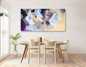 Εικόνα ανθισμένο κλαδί κερασιού - 100x50