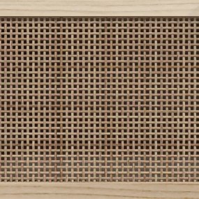 vidaXL Έπιπλο Τηλεόρασης Μαύρο 80x30x40 εκ. Μασίφ Πεύκο &amp; Φυσικό Ρατάν