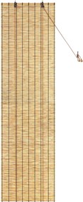 vidaXL Ρόλερ (στόρι) Φυσικό 60 x 220 εκ. Καλάμι