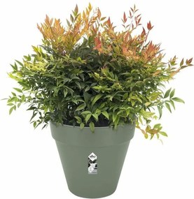 Βάζο Λουλουδιών Elho   Στρογγυλή Πράσινο Πλαστική ύλη Ø 40 cm