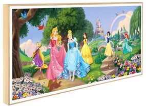 Παιδικό Κάδρο Disney Princesses KDP147 30x60cm