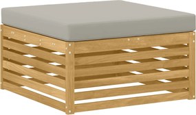 vidaXL Σειρά Καναπέ Εξωτερικού 4 pcs Λευκό και Ανοιχτό Γκρι