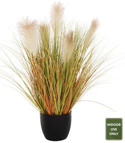 ΔΙΑΚΟΣΜΗΤΙΚΟ ΣΥΝΘΕΤΙΚΟ ΦΥΤΟ HM4010 ΦΡΑΓΜΙΤΗΣ ΣΕ ΓΛΑΣΤΡΑ Φ24x18-91Υεκ.