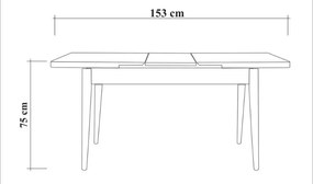 Τραπέζι Jemmy Megapap επεκτεινόμενο χρώμα atlantic pine 120/153x75x77εκ.