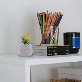 Τεχνητό Φυτό σε Μοντέρνο Κεραμικό Γλαστράκι 12x11x19cm