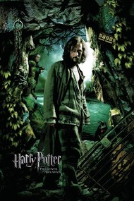 Εικονογράφηση Harry Potter and the Prisoner of Azkaban - Sirius