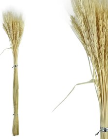 MarHome ΚΛΑΔΙ ΣΤΑΧΥ ΑΠΟΞΗΡΑΜΕΝΟ 50~60ΤΜΧ/ΜΑΤΣΟ Υ67~77cm, 15~18cm ΤΟ ΑΝΘΟΣ- 120/ΚΙΒ 00-50007-1