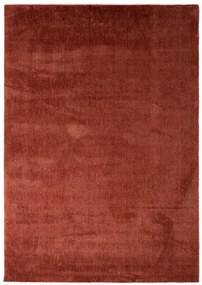 Χαλί Feel 71351 013 Royal Carpet &#8211; 200×290 cm