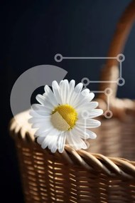 Σετ των 2 Intra Συλλεκτικό Ξύλινο Παζλ Plywood 4mm - Όμορφη λευκή μαργαρίτα σε ανοιχτό ψάθινο καλάθι Σε Ξύλινο Κουτί - Διαστάσεις: 10x10 cm – 25 κομμάτια