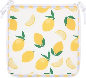 Μαξιλάρι Καρέκλας (39x39) A-S Fruity 215336A