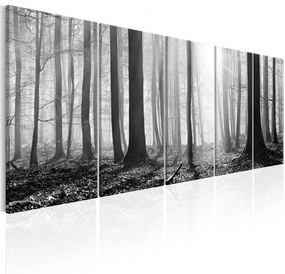 Πίνακας - Monochrome Forest 225x90