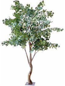 Δέντρο Ευκάλυπτος 89803 230cm Green