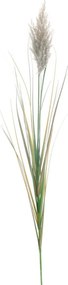 Τεχνητό Κλαδί Pampas 4012-7 140cm Natural Supergreens Πολυαιθυλένιο