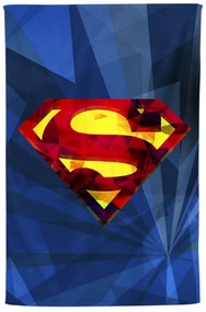 Βαμβακερή Βελουτέ Παιδική Πετσέτα Θαλάσσης Superman Logo Warner Bros 70x130cm Θαλάσσης | 70x130cm Μπλε