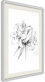 Αφίσα - Sketch of Lillies - 30x45 - Μαύρο - Χωρίς πασπαρτού