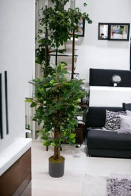 Stewehome Τεχνητό δέντρο μπένζαμιν Πράσινο