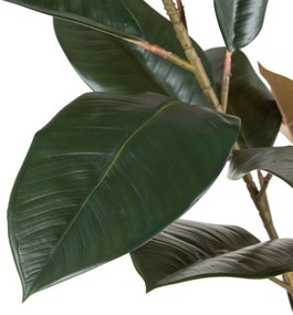 Διακοσμητικό Φυτό PVC Σίδερο Ficus 49 x 45 x 125 cm