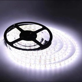 ΤΑΙΝΙΑ LED RGD SMD2835 IP20 ΑΔΙΑΒΡΟΧΗ 204 LEDS 6400Κ