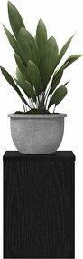 vidaXL Βάση φυτών 2 pcs Μαύρη Οξυά 25 x 25 x 35 cm Επεξεργασμένο ξύλο