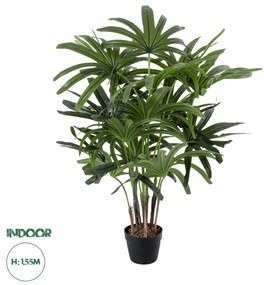20386 GloboStar® Artificial Garden BROADLEAF LADY PALM TREE 20386 Τεχνητό Διακοσμητικό Φυτό Πλατύφυλλος Φοίνικας Μπαμπού Υ120cm