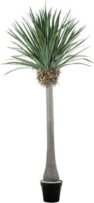 Τεχνητό Δέντρο Beaucarnea Palm 20048 250cm Beige-Green Globostar Polyethylene,Fabric