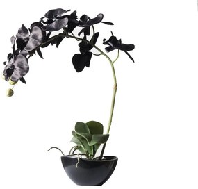 Supergreens Τεχνητό Φυτό Ορχιδέα Phalaenopsis Real Touch Μαύρη με Κασπώ 48 εκ.