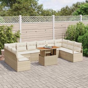 vidaXL Σετ Καναπέ Κήπου με αποθήκευση 11 pcs Μπεζ Πολυ ράταν