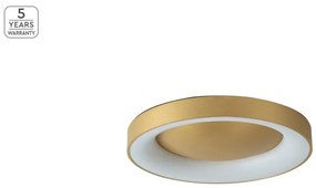 Πλαφονιέρα Φωτιστικό Οροφής LED 45W Dimmable Φ60cm Amaya Homelighting-77-8159-Χρυσό 77-8159