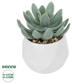 Artificial Garden SUCCULENT SEDEVERIA POTTED PLANT 20998 Διακοσμητικό Φυτό Σεδεβέρια  Φ7 x Υ9cm