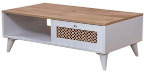 Τραπέζι Σαλονιού Goose 277WLN1131 100x55x45cm White-Oak
