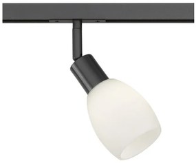 Σποτ Ράγας Μαύρο Ματ HV-Track 6 70516 Fischer Honsel-70516-Μαύρο 70516