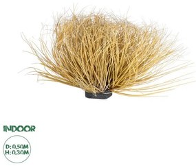 Artificial Garden GRASS BUSH PLANT 21165 Τεχνητό Διακοσμητικό Φυτό Θάμνος Grass Π50cm Y30cm Globostar 21165