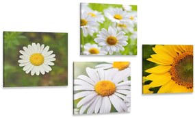Σετ εικόνων Λιβάδι λουλούδια - 4x 60x60