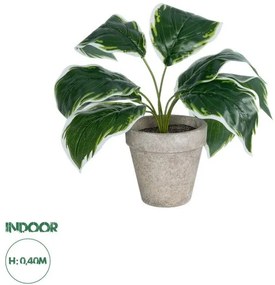 Διακοσμητικό Φυτό Λευκή Χόστα Artificial Garden 20900 Globostar-20900-Λευκό 20900