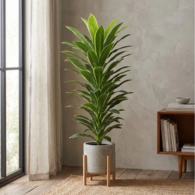 Τεχνητό Φυτό Εσωτερικού & Εξωτερικού Χώρου 150cm 80723