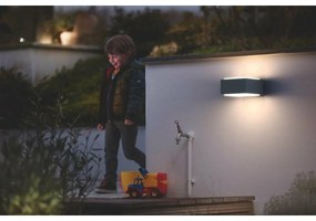 Φωτιστικό Philips Ανθρακί