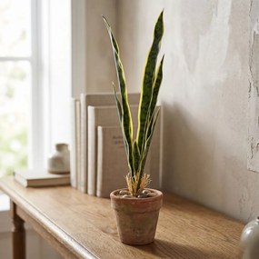 Τεχνητό Φυτό Εσωτερικού & Εξωτερικού Χώρου 69cm 97659