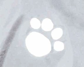 Αδιάβροχο Σκύλου Trixie Tarbes Διαφανές S