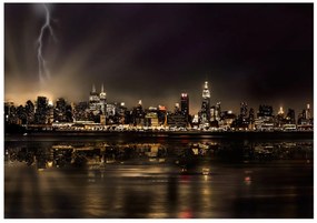 Φωτοταπετσαρία - Storm in New York City 400x280