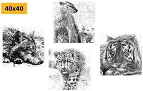 Σετ από εικόνες ζώων σε ασπρόμαυρο σχέδιο ακουαρέλας