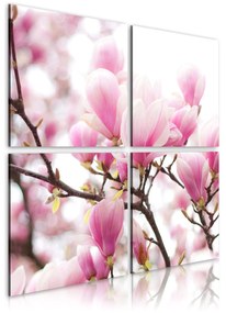 Πίνακας - Blooming magnolia tree 80x80