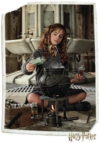 Εικονογράφηση Harry Potter - Hermione Granger