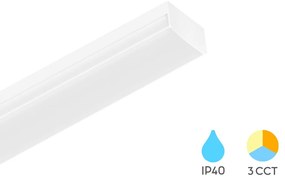 Φωτιστικό Οροφής Braytron BN20-11280 Λευκό (White) CCT3