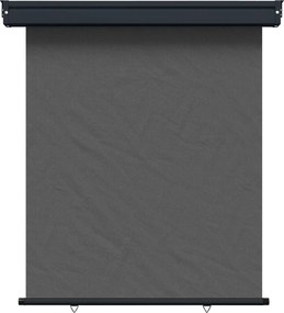 vidaXL Αυλούπα Πλευράς Μπαλκονιού 125 x 250 cm