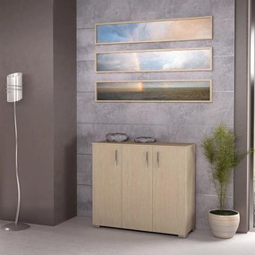 Παπουτσοθήκη με 3 Ράφια Νο. 24 100x92x36 Oak SARRIS809705