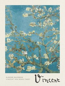 Εκτύπωση έργου τέχνης Almond Blossom - Vincent van Gogh, (30 x 40 cm)